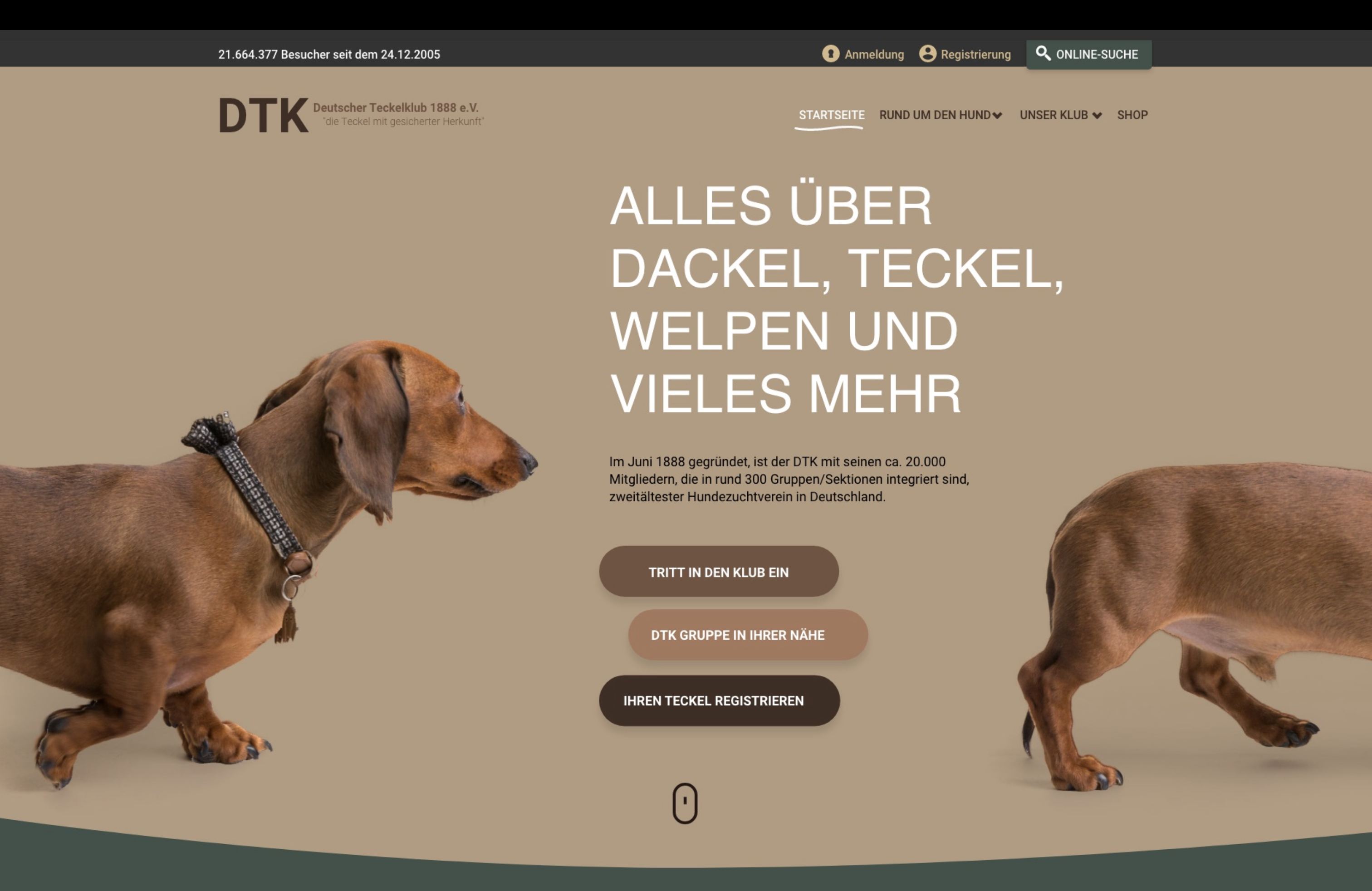 DTK Breeder Directory Platform